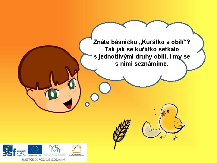 Znáte básničku „Kuřátko a obilí“? Tak jak se. Akuřátko setkalo hoj, s jednotlivými druhy