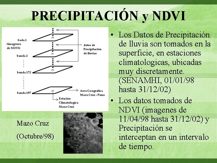 PRECIPITACIÓN y NDVI Mazo Cruz (Octubre/98) • Los Datos de Precipitación de lluvia son