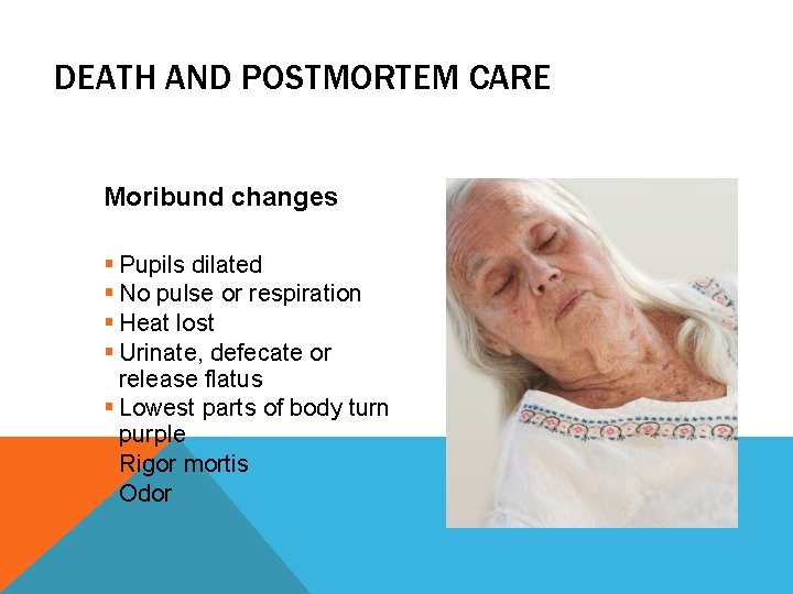 DEATH AND POSTMORTEM CARE Moribund changes § Pupils dilated § No pulse or respiration DEATH AND POSTMORTEM CARE Moribund changes § Pupils dilated § No pulse or respiration