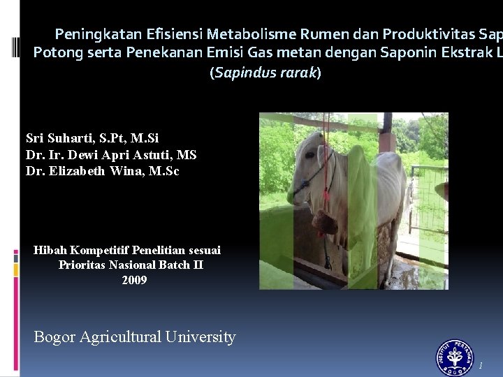 Peningkatan Efisiensi Metabolisme Rumen dan Produktivitas Sap Potong serta Penekanan Emisi Gas metan dengan