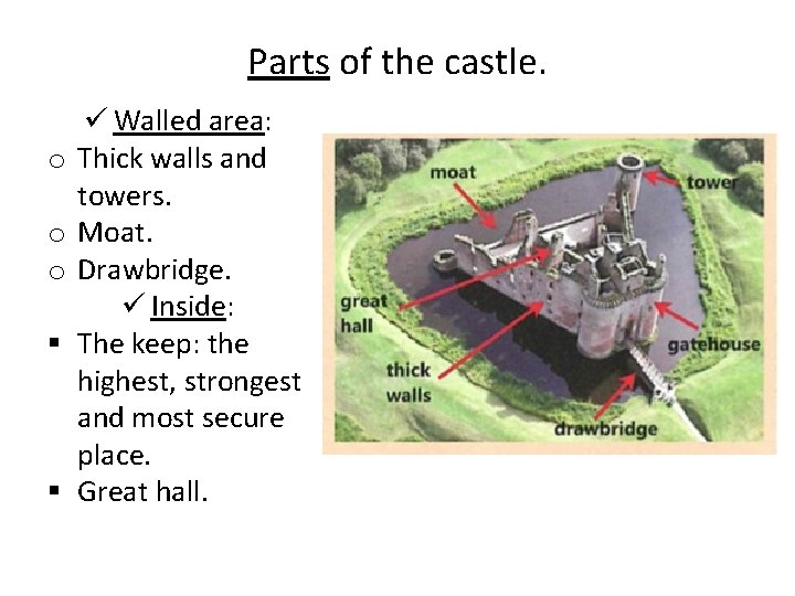 Parts of the castle. o o o § § ü Walled area: Thick walls