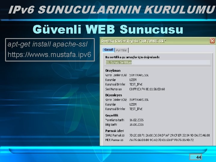 IPv 6 SUNUCULARININ KURULUMU Güvenli WEB Sunucusu apt-get install apache-ssl https: //wwws. mustafa. ipv