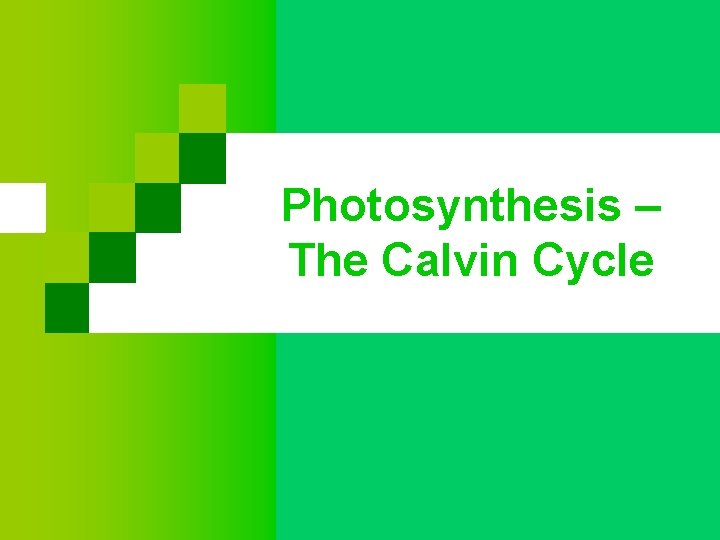 Photosynthesis – The Calvin Cycle 