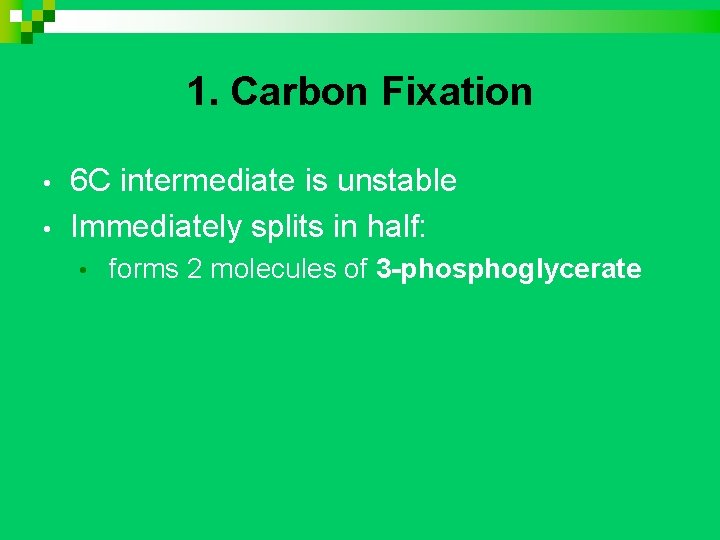 1. Carbon Fixation • • 6 C intermediate is unstable Immediately splits in half: