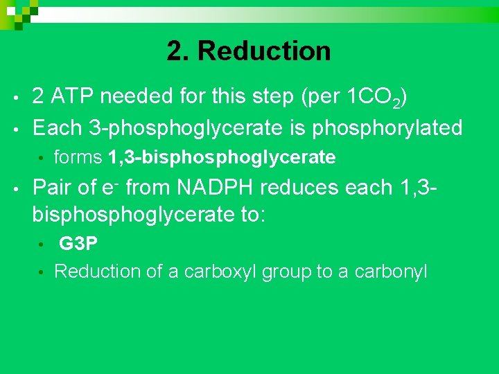 2. Reduction • • 2 ATP needed for this step (per 1 CO 2)