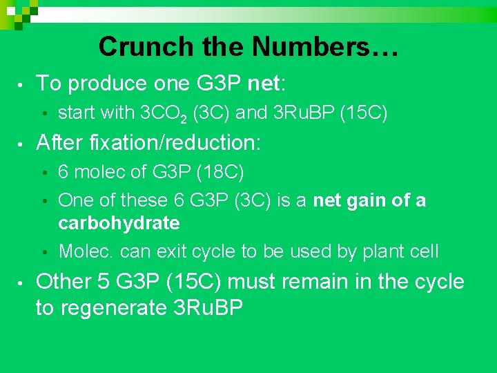 Crunch the Numbers… • To produce one G 3 P net: • • start