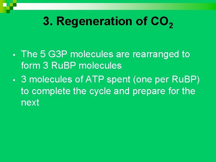 3. Regeneration of CO 2 • • The 5 G 3 P molecules are