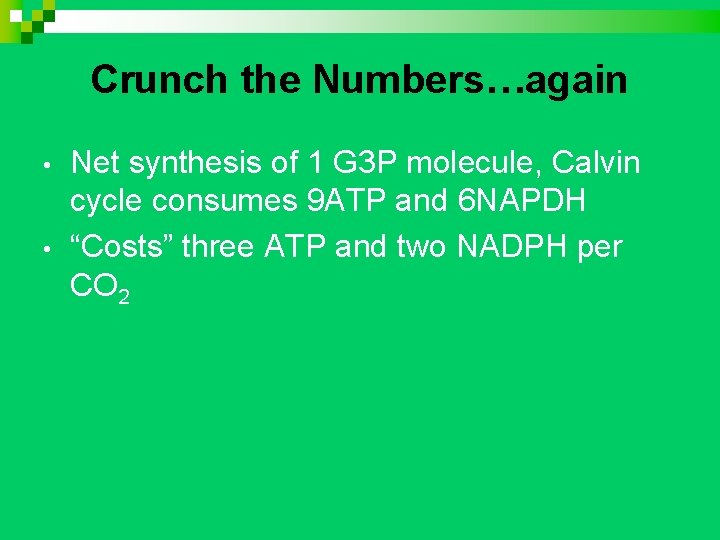 Crunch the Numbers…again • • Net synthesis of 1 G 3 P molecule, Calvin