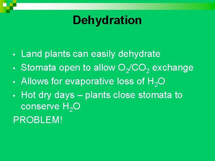 Dehydration Land plants can easily dehydrate • Stomata open to allow O 2/CO 2