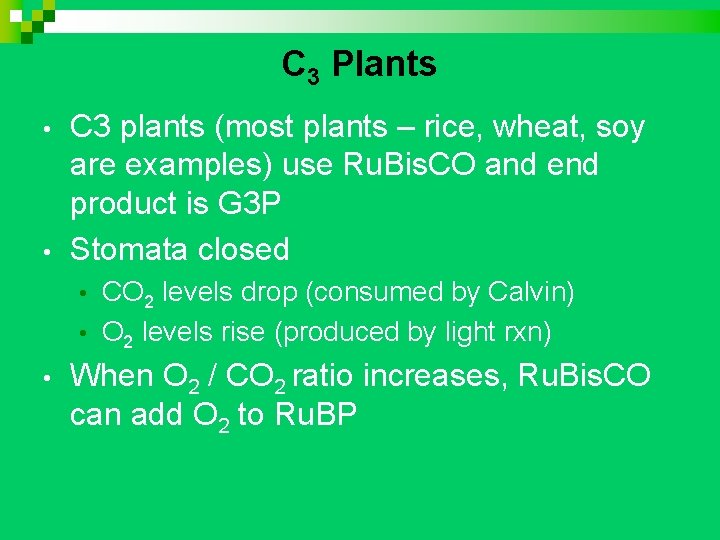 C 3 Plants • • C 3 plants (most plants – rice, wheat, soy