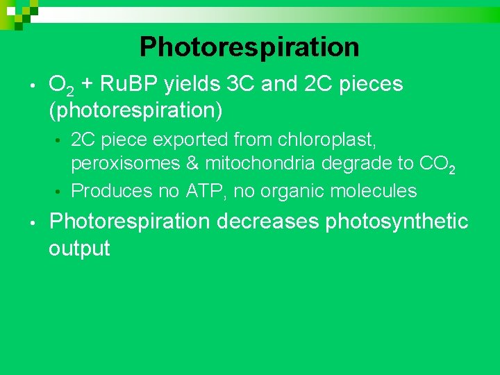 Photorespiration • O 2 + Ru. BP yields 3 C and 2 C pieces