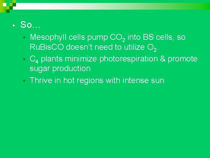  • So… Mesophyll cells pump CO 2 into BS cells, so Ru. Bis.