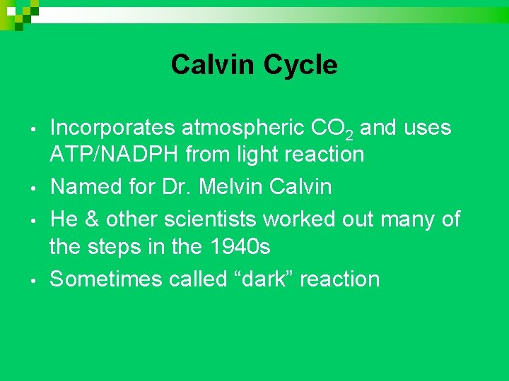 Calvin Cycle • • Incorporates atmospheric CO 2 and uses ATP/NADPH from light reaction