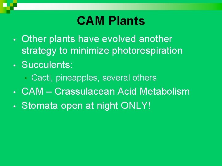 CAM Plants • • Other plants have evolved another strategy to minimize photorespiration Succulents: