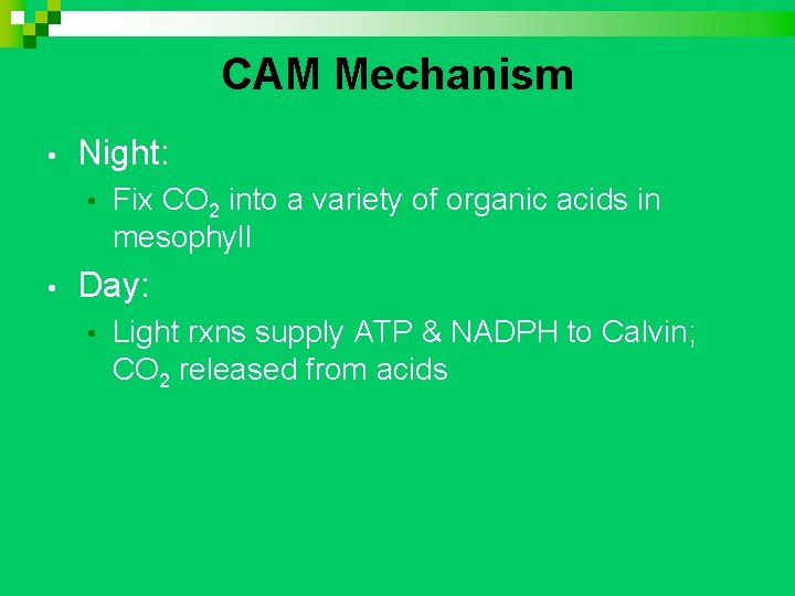 CAM Mechanism • Night: • • Fix CO 2 into a variety of organic