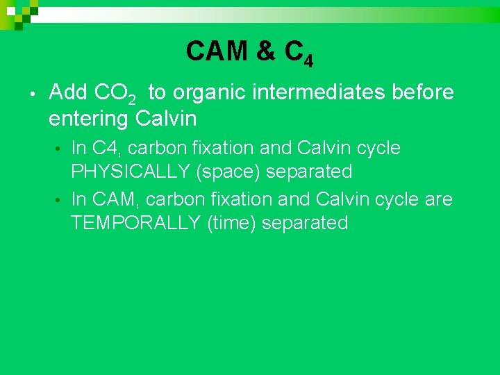 CAM & C 4 • Add CO 2 to organic intermediates before entering Calvin