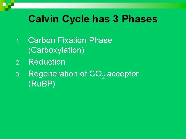 Calvin Cycle has 3 Phases 1. 2. 3. Carbon Fixation Phase (Carboxylation) Reduction Regeneration