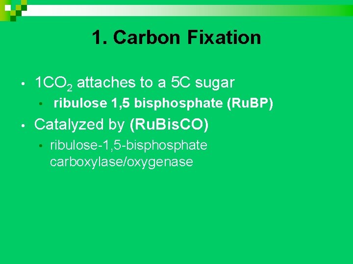 1. Carbon Fixation • 1 CO 2 attaches to a 5 C sugar •