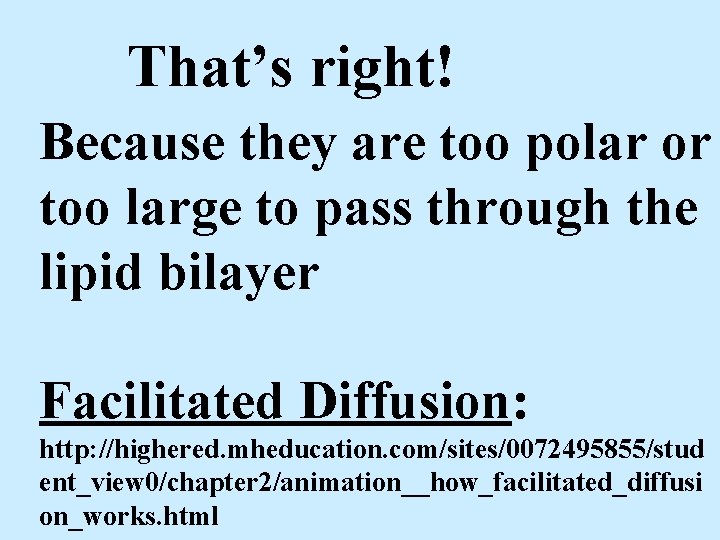 That’s right! Because they are too polar or too large to pass through the