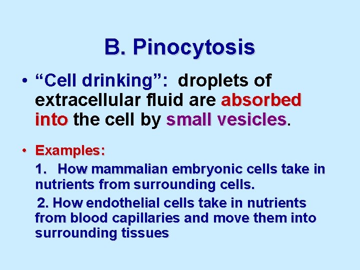 B. Pinocytosis • “Cell drinking”: droplets of extracellular fluid are absorbed into the cell