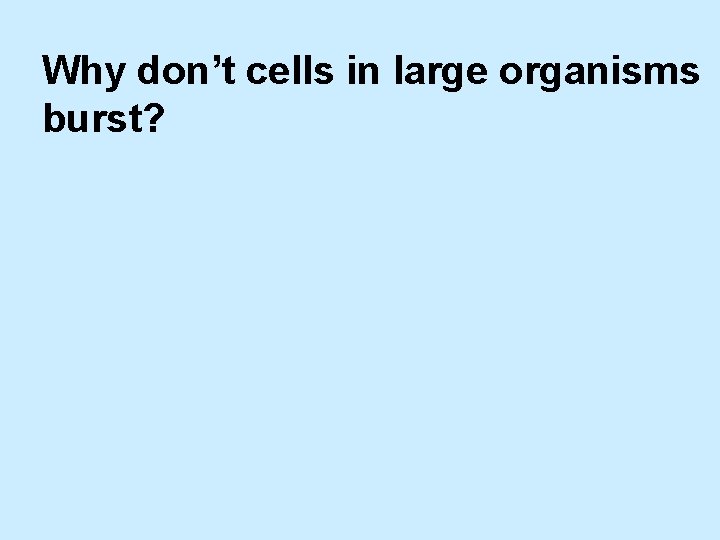 Why don’t cells in large organisms burst? 