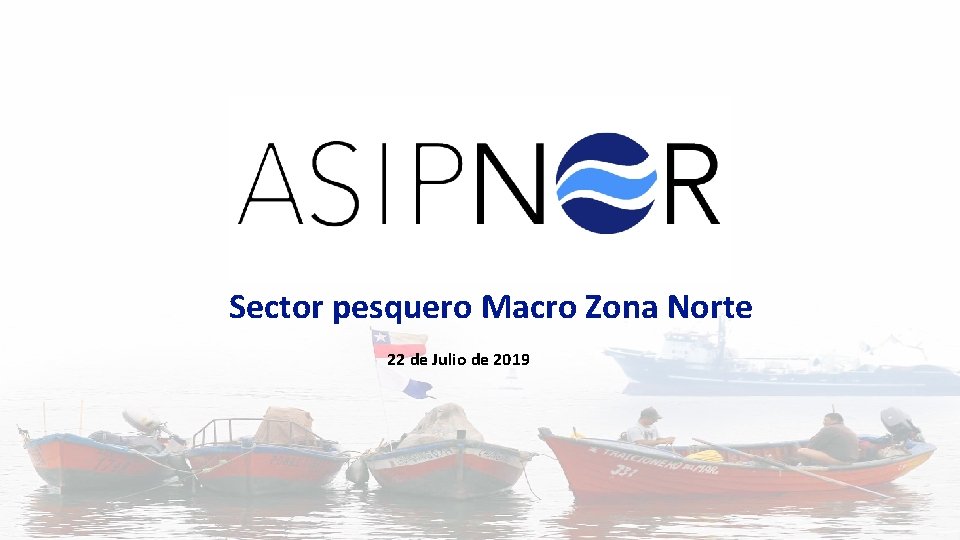 Sector pesquero Macro Zona Norte 22 de Julio de 2019 