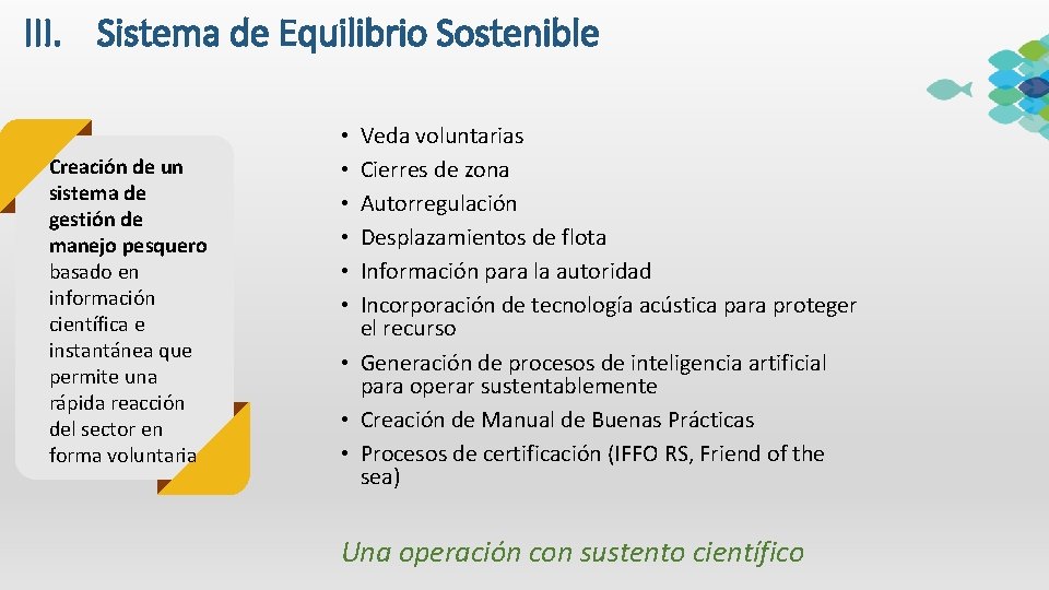 III. Sistema de Equilibrio Sostenible Creación de un sistema de gestión de manejo pesquero