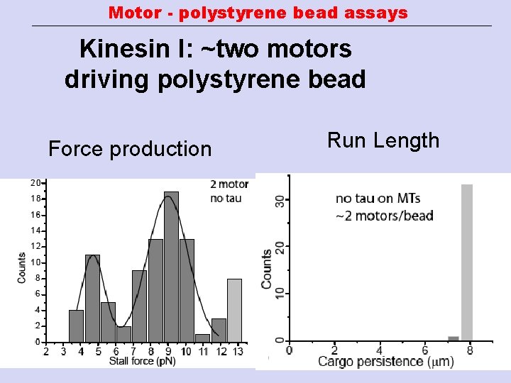 Motor - polystyrene bead assays Kinesin I: ~two motors driving polystyrene bead Force production