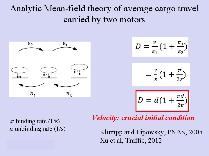 Analytic Mean-field theory of average cargo travel carried by two motors p: binding rate Analytic Mean-field theory of average cargo travel carried by two motors p: binding rate