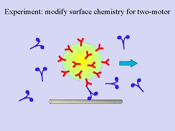 Experiment: modify surface chemistry for two-motor 