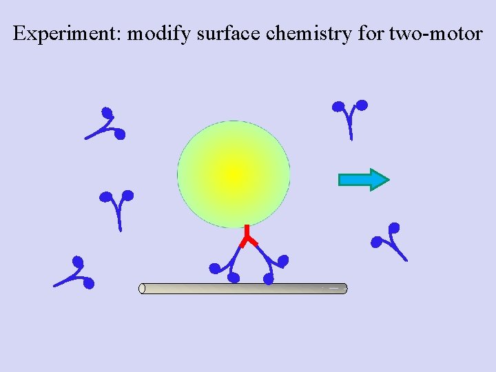 Experiment: modify surface chemistry for two-motor 