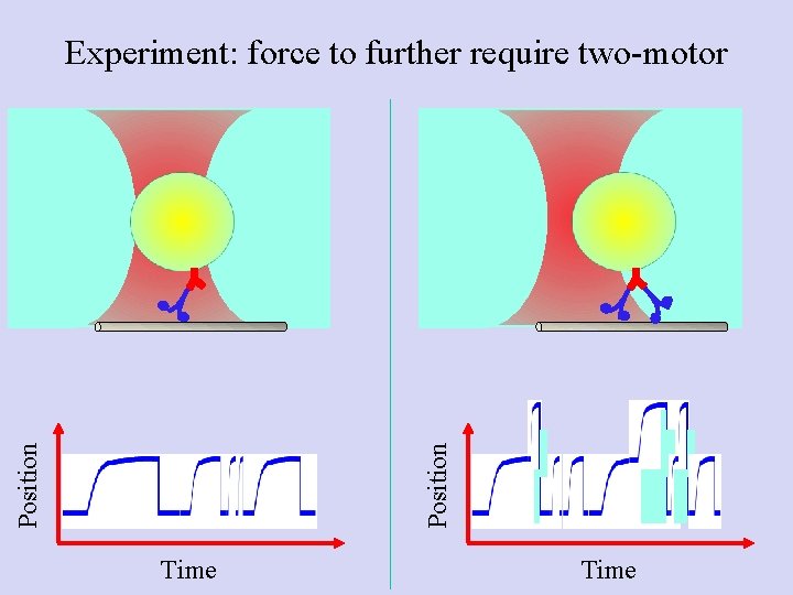 Position Experiment: force to further require two-motor Time Position Experiment: force to further require two-motor Time