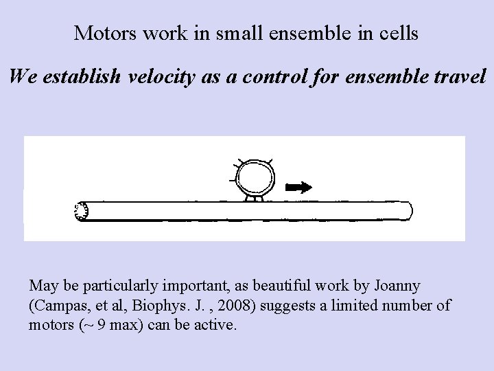 Motors work in small ensemble in cells We establish velocity as a control for