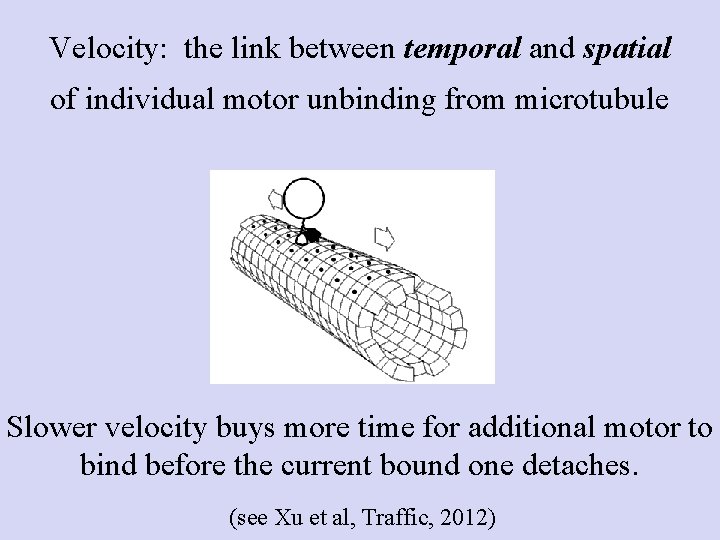 Velocity: the link between temporal and spatial of individual motor unbinding from microtubule Slower