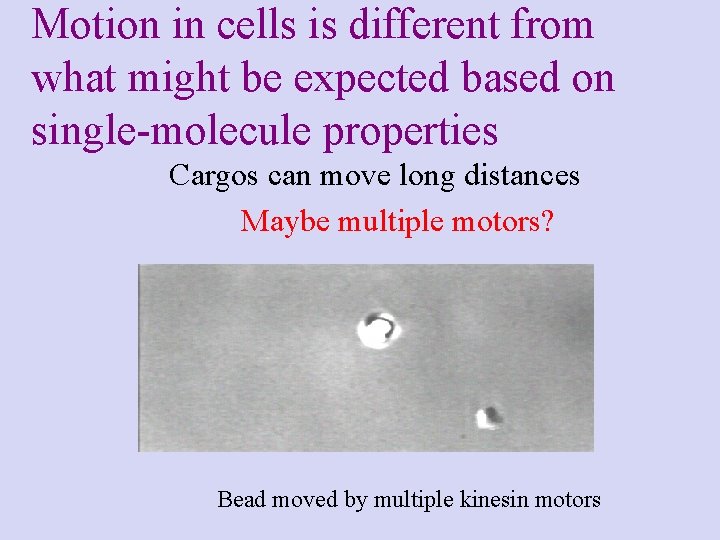 Motion in cells is different from what might be expected based on single-molecule properties