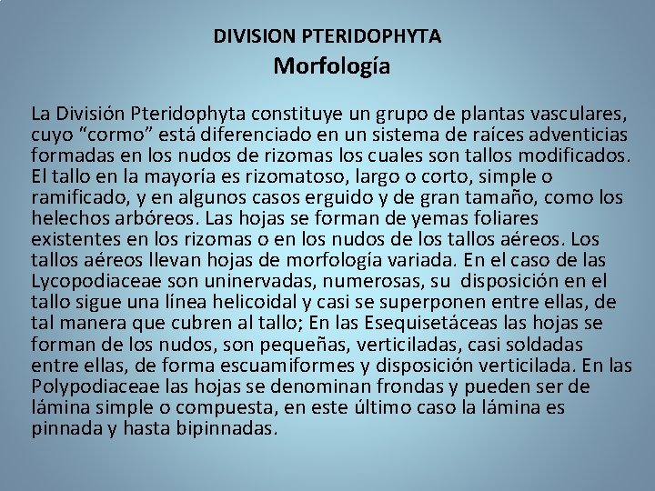 DIVISION PTERIDOPHYTA Morfología La División Pteridophyta constituye un grupo de plantas vasculares, cuyo “cormo”