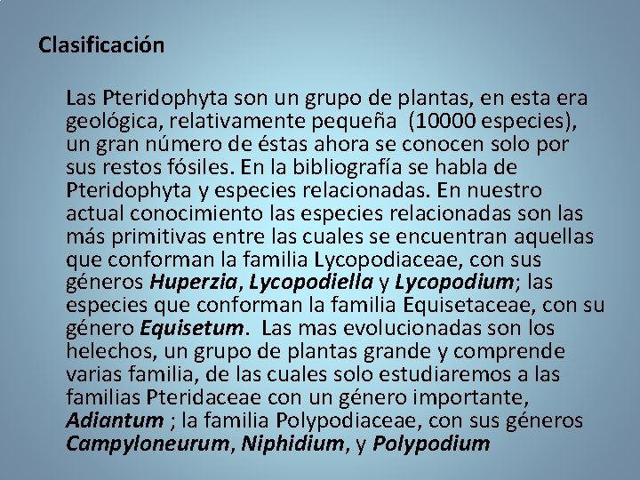 Clasificación Las Pteridophyta son un grupo de plantas, en esta era geológica, relativamente pequeña