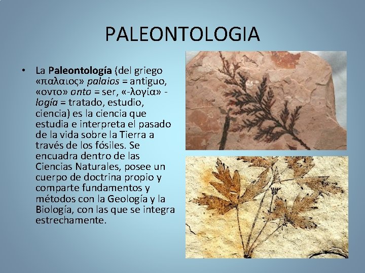 PALEONTOLOGIA • La Paleontología (del griego «παλαιος» palaios = antiguo, «οντο» onto = ser,