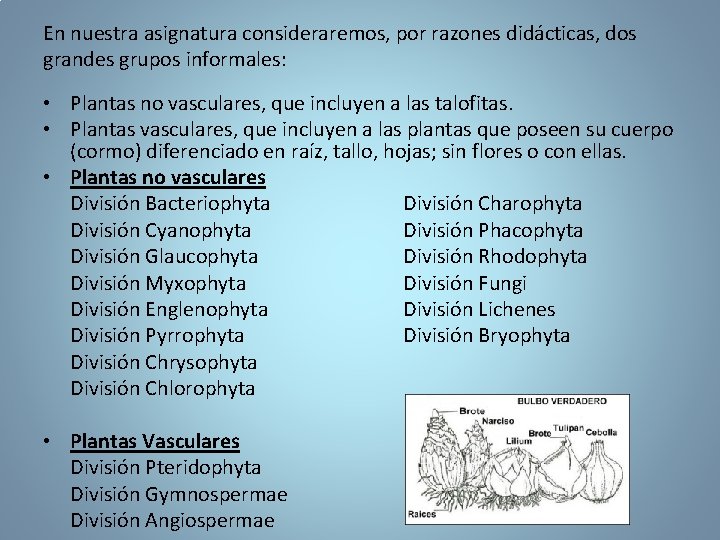 En nuestra asignatura consideraremos, por razones didácticas, dos grandes grupos informales: • Plantas no