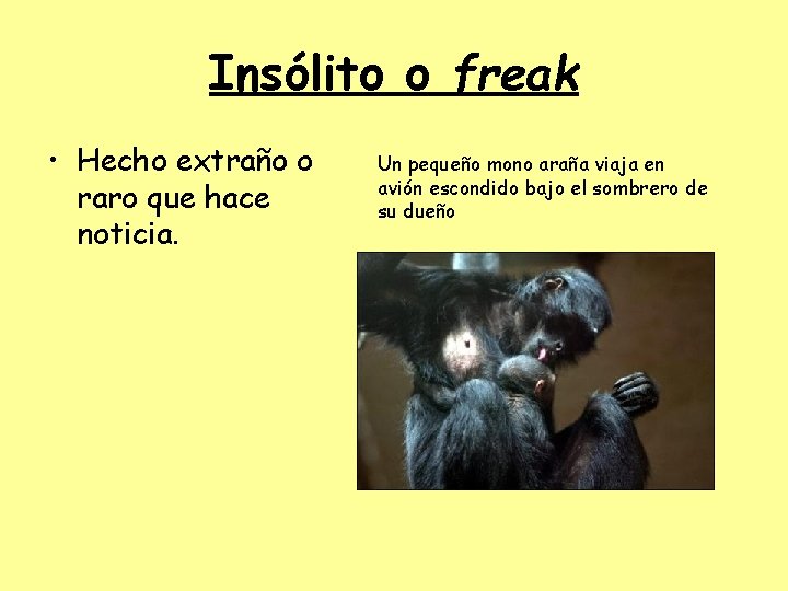 Insólito o freak • Hecho extraño o raro que hace noticia. Un pequeño mono