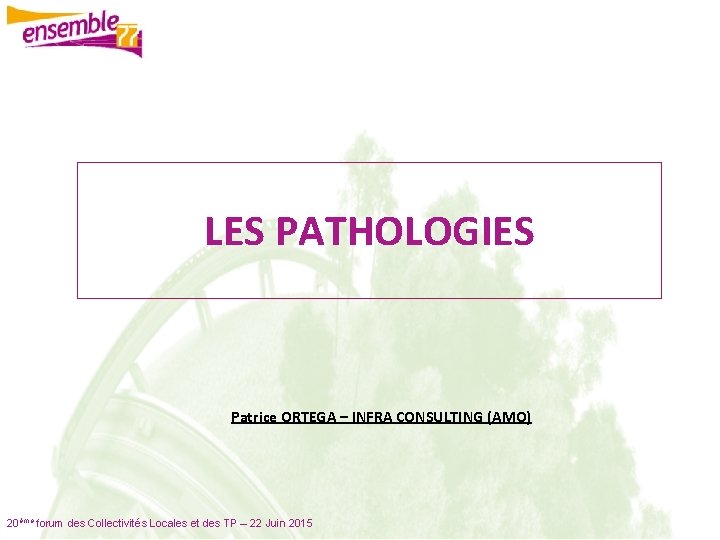LES PATHOLOGIES Patrice ORTEGA – INFRA CONSULTING (AMO) 20ème forum des Collectivités Locales et