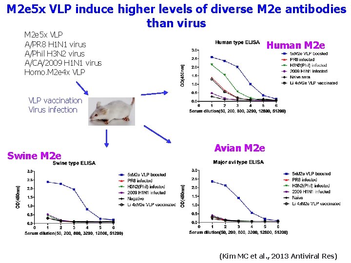 M 2 e 5 x VLP induce higher levels of diverse M 2 e