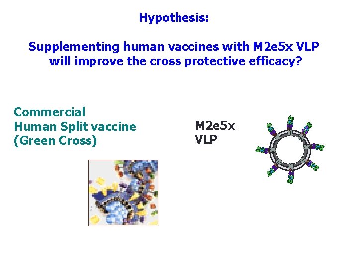Hypothesis: Supplementing human vaccines with M 2 e 5 x VLP will improve the
