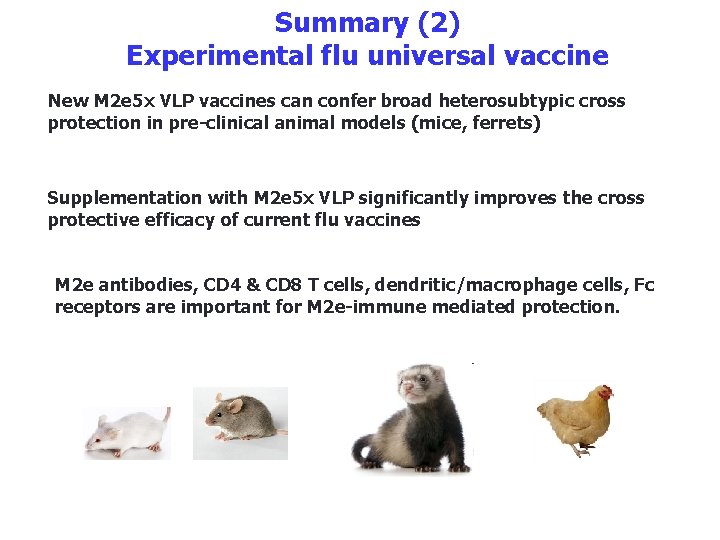 Summary (2) Experimental flu universal vaccine New M 2 e 5 x VLP vaccines