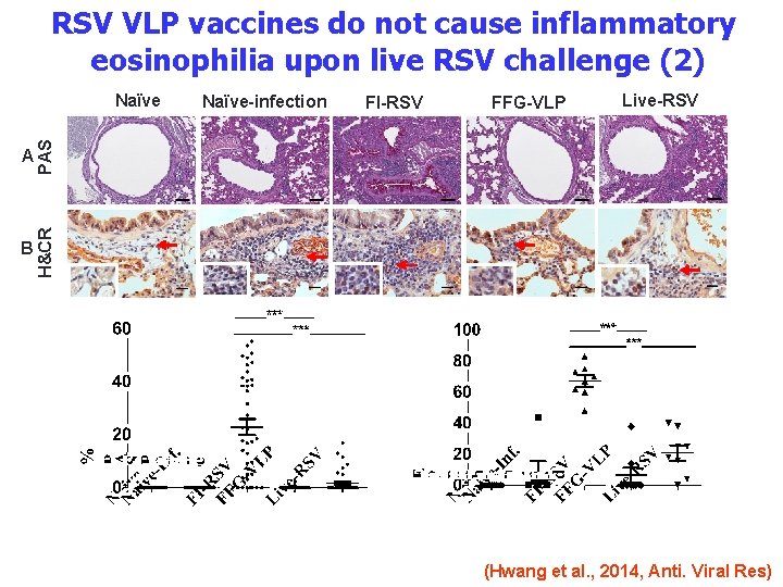 RSV VLP vaccines do not cause inflammatory eosinophilia upon live RSV challenge (2) A