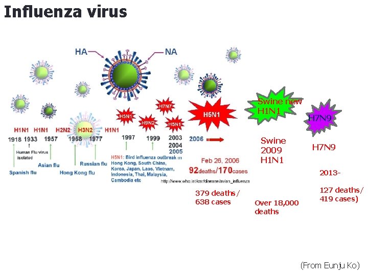 Influenza virus Swine new H 1 N 1 Swine 2009 H 1 N 1