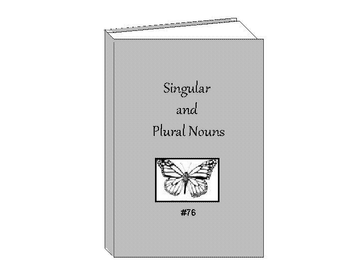 Singular and Plural Nouns #76 