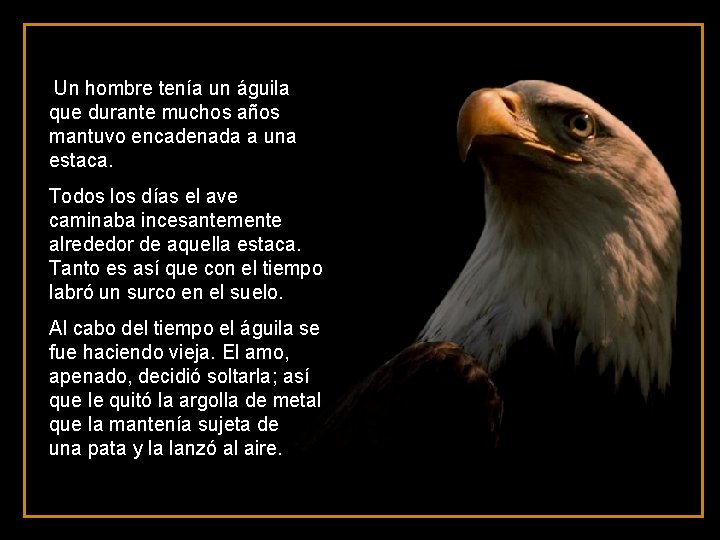  Un hombre tenía un águila que durante muchos años mantuvo encadenada a una