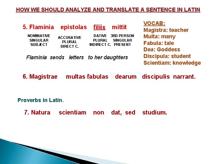 HOW WE SHOULD ANALYZE AND TRANSLATE A SENTENCE IN LATIN 5. Flaminia NOMINATIVE SINGULAR