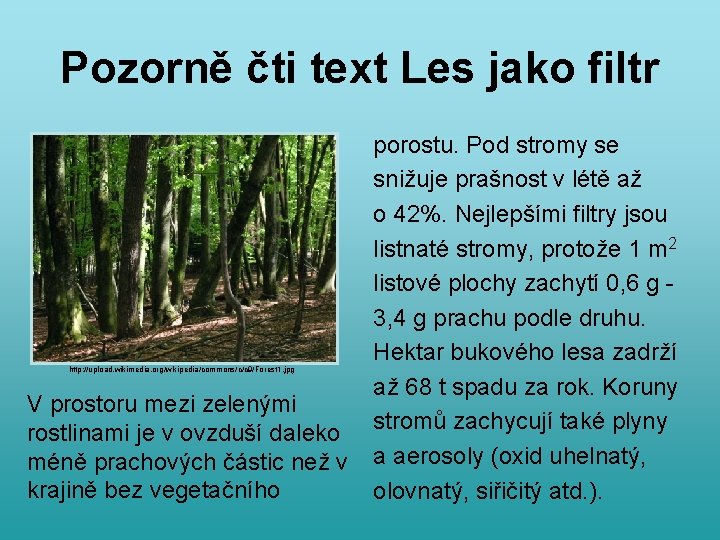 Pozorně čti text Les jako filtr http: //upload. wikimedia. org/wikipedia/commons/c/c 9/Forest 1. jpg V